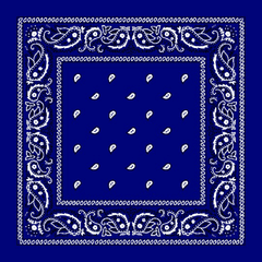 Paisley Bandanas