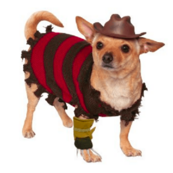 A Nightmare On Elm Street Freddy Krueger Dog Costume & Hat