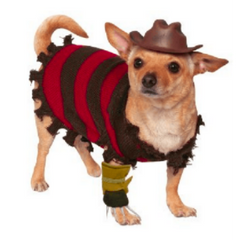 A Nightmare On Elm Street Freddy Krueger Dog Costume & Hat