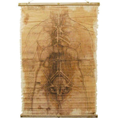 Skeleton Scroll