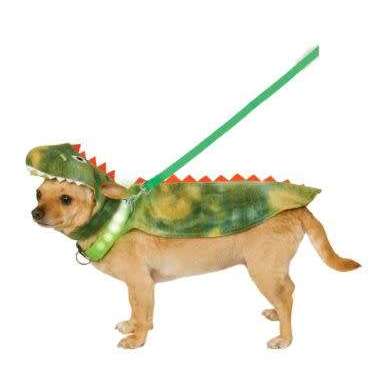 Light Up Dino Cape with Hood Pet Costume