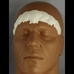 Shell Crown Foam Latex Prosthetic