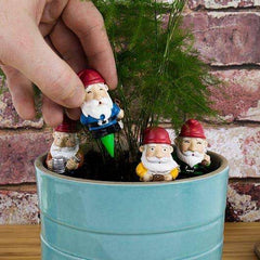 Mini Garden Gnomes for Potted Plants