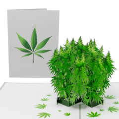 Pot Plant 3D Weed Plant Themed Card