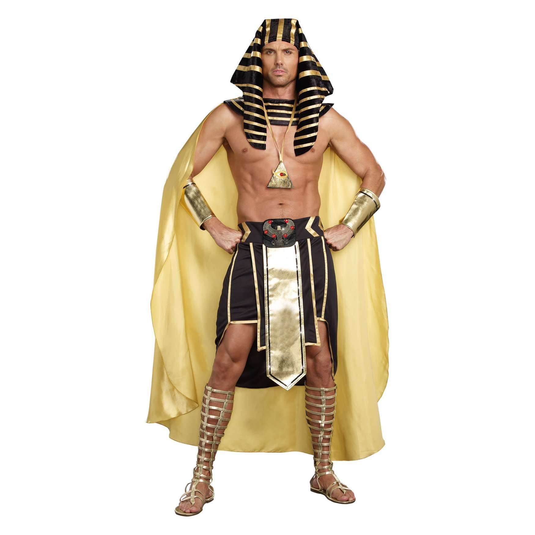 Powerful King of Egypt Pharaoh Adult Costume