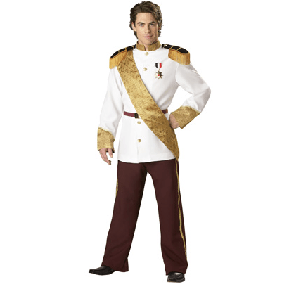 Dashing Prince Charming Adult Costume