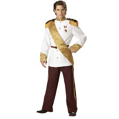 Dashing Prince Charming Adult Costume