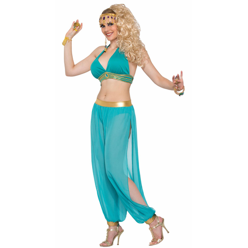 Belly Dancer Adult Bra Top