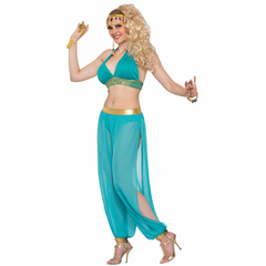 Belly Dancer Adult Pants