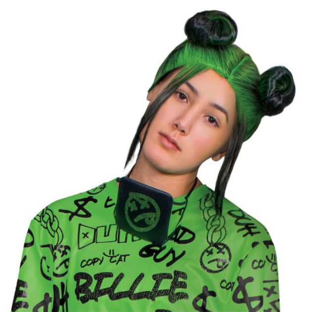 Billie Eilish Black & Green Double Bun Wig