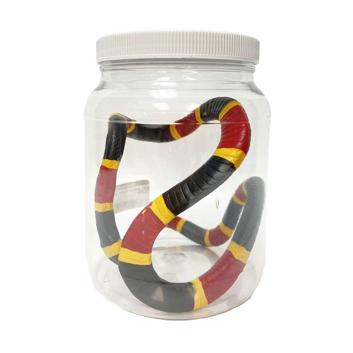 Coral Snake Specimen Jar