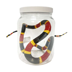 Coral Snake Specimen Jar