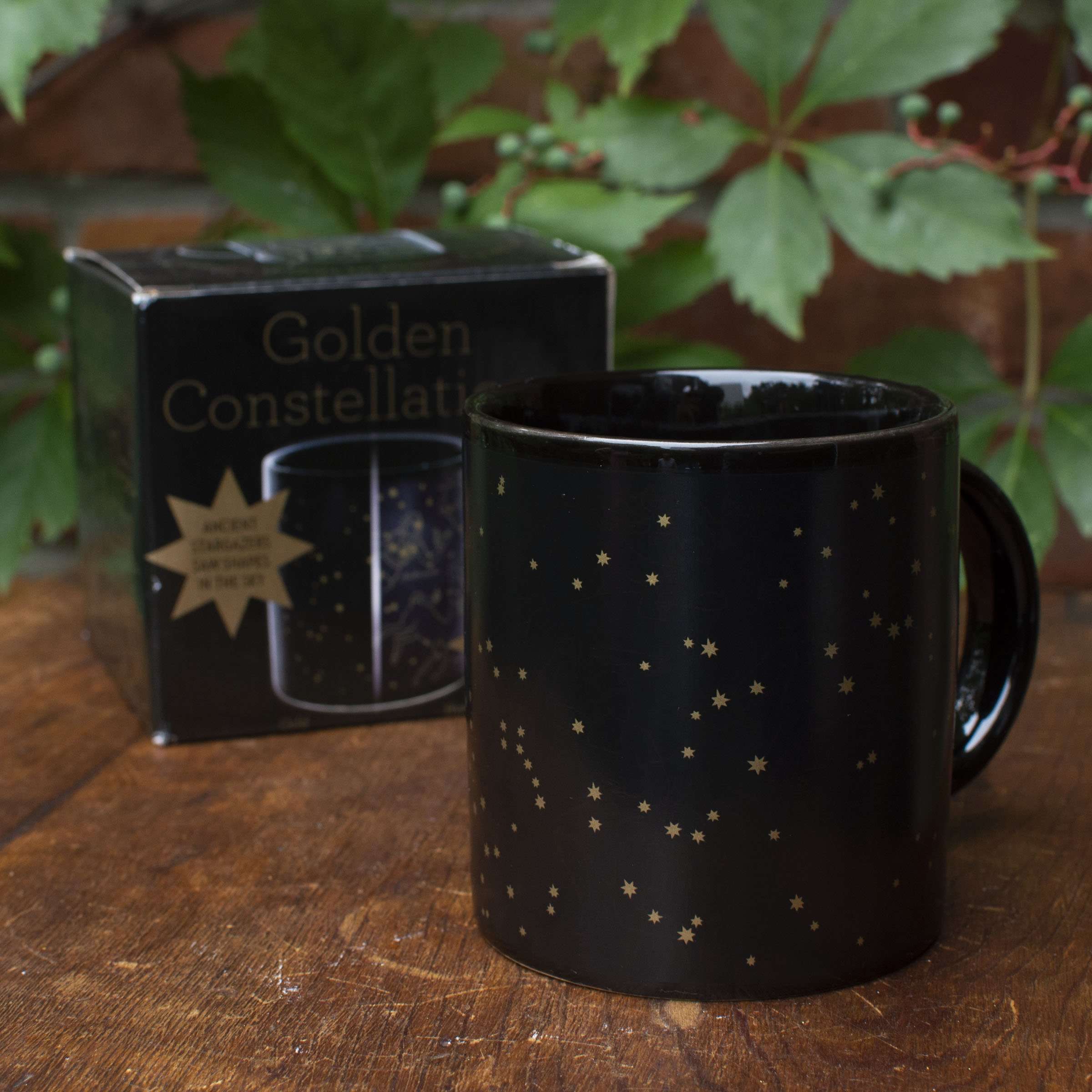 Constellation Heat Changing Mug