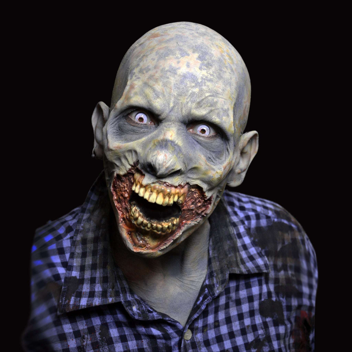 FX Faces Zombie Meat Foam Latex Prosthetic