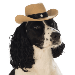 Brown Pet Cowboy Hat