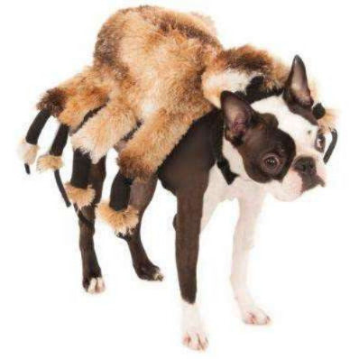 Giant Furry Spider Pet Costume