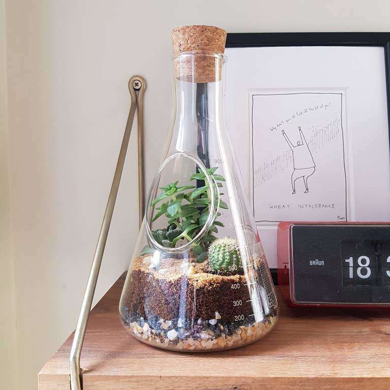 Chemistry Terrarium Kit