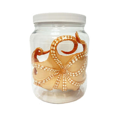 Medium Octopus Specimen Jar