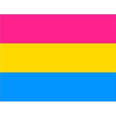 3' x 5' Pansexual Flag