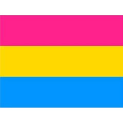 3' x 5' Pansexual Flag