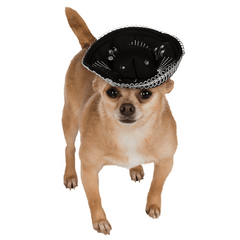 Minature Pet Sombrero