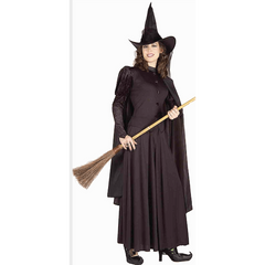 Classic Witch Adult Costume