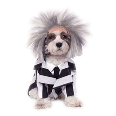 Beetlejuice Pet Costume