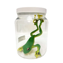 Frog Specimen Jar