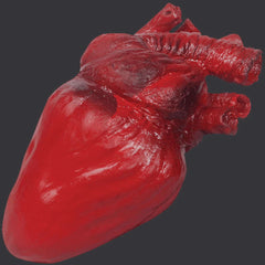 Realistic Bloody Heart Prop