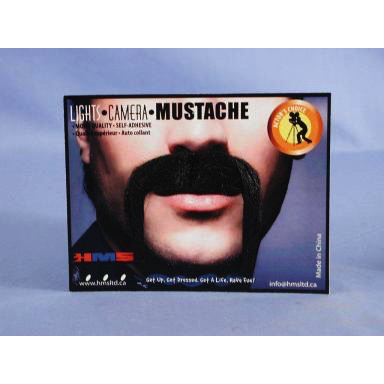 Black Horseshoe Mustache