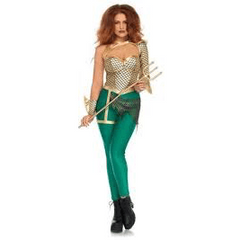 Sexy Women's Aqua Warrior Costume