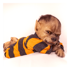 Werepups Cooper Collectible Realistic Doll