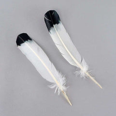 White Quil Feathers Dipped Black {Assorted}