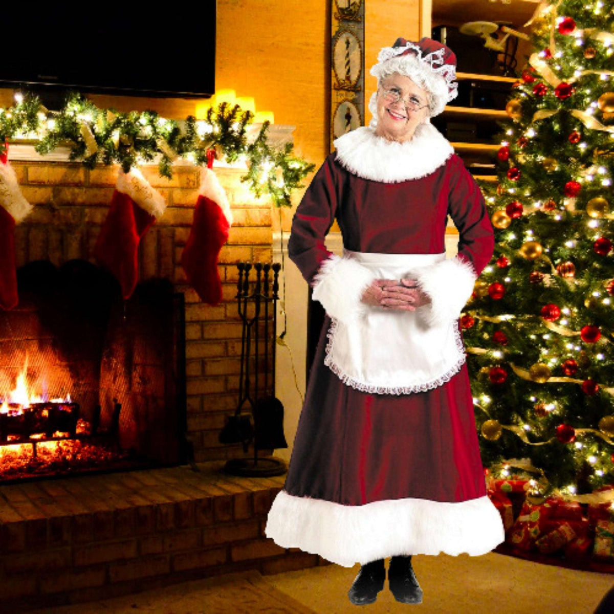 Classic Regal Red Velvet Professional Mrs. Claus Adult Costume