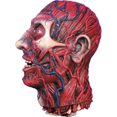 Skinned Head Rubber Prop