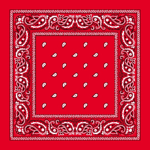 Paisley Bandanas