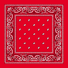 Paisley Bandanas