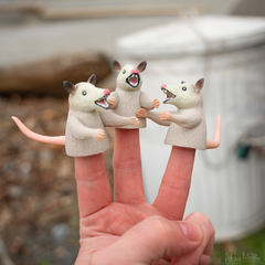 Finger Possum