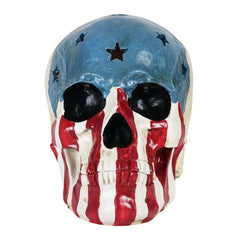 Skull With USA Flag and LEDs