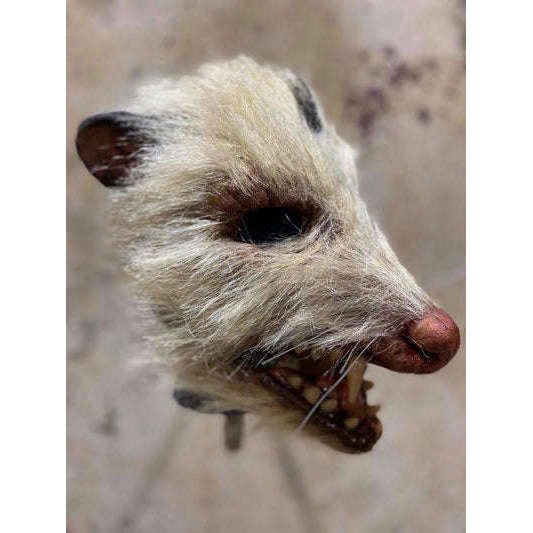 Roadkill Opossum Mask