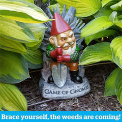 The Game of Gnomes Garden Gnome