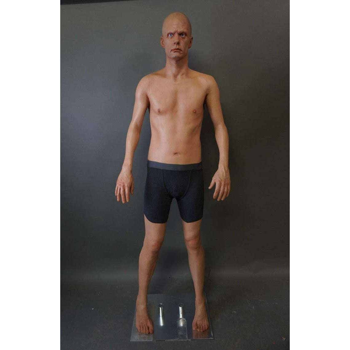 Frank Full Body Standing Prop - Golden