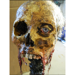 Twisted Tristen Realistic Human Corpse Skull Head