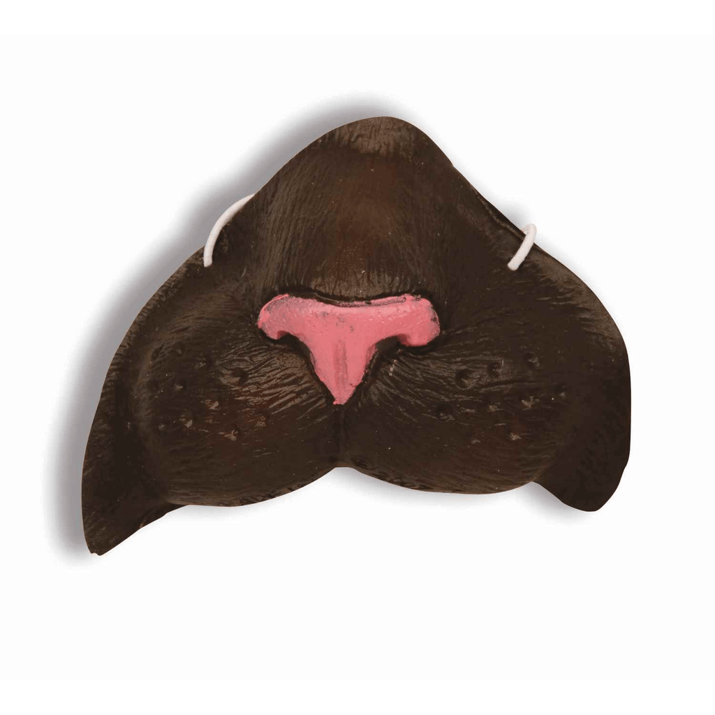 Brown Cat Nose