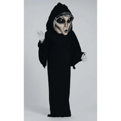 Galactic Alien Mascot Adult Costume