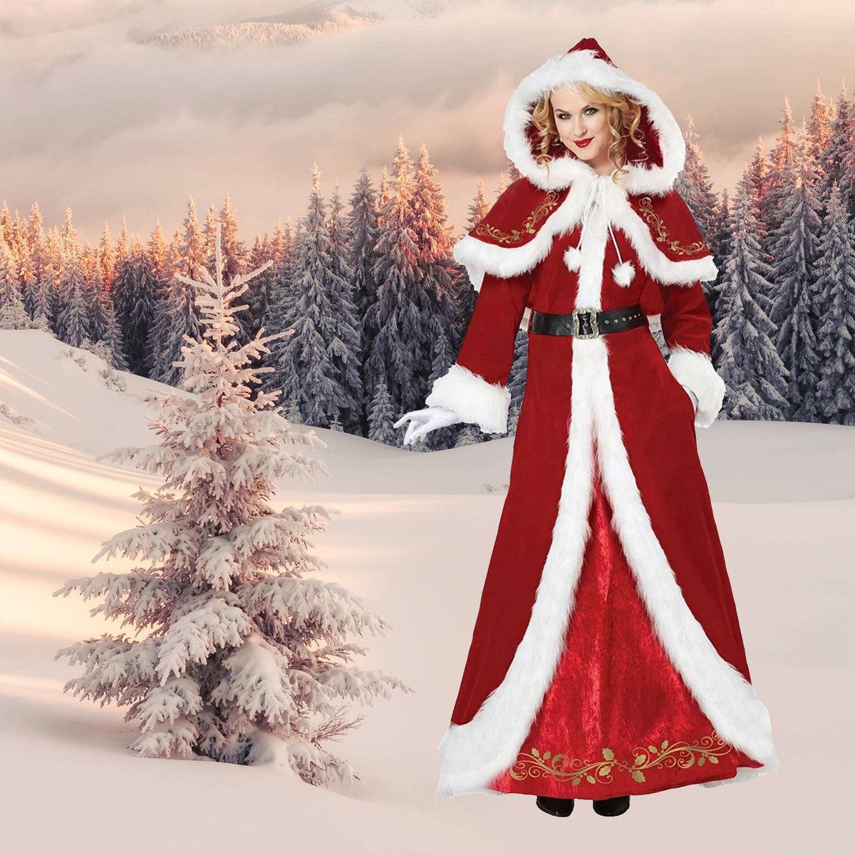 Mrs. Claus Premium Gold Trimmed Adult Costume