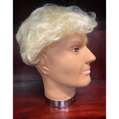 Standard Man Full Hair Wig