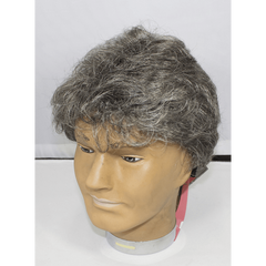 Standard Man Full Hair Wig