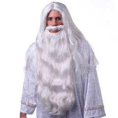 Wizard Wig & Beard Set