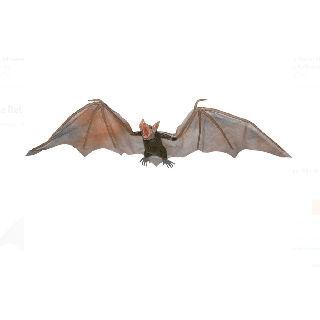 Small Hanging Vampire Bat